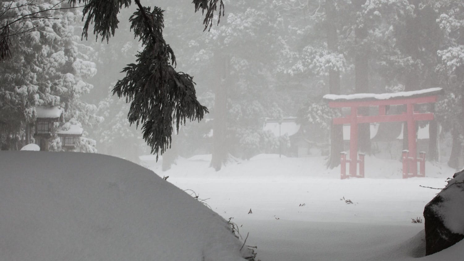 Das Gelände vom Sanzan-Gosai-den Tempel im Neuschnee. Das grosse Torii im Hintergrund symbolisiert den Eingang zum Reich der Götter.