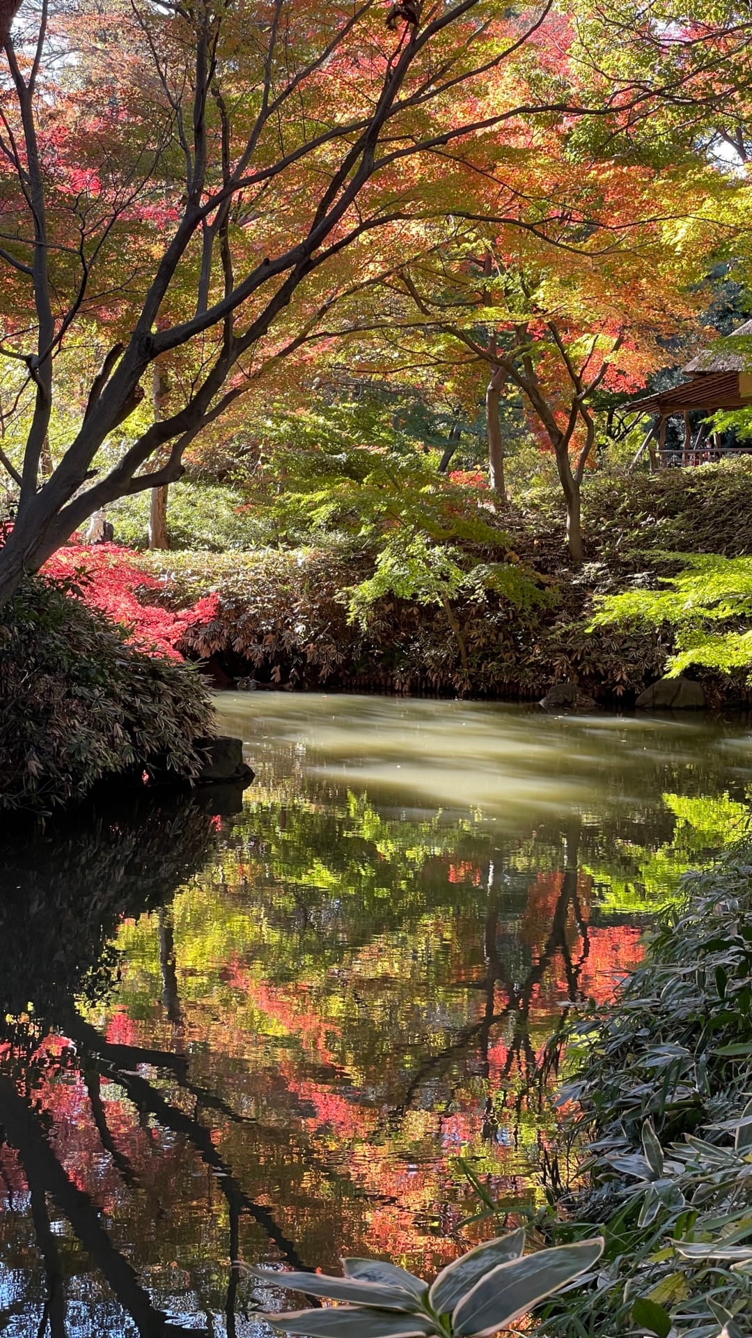 Herbst im Rikugien.