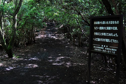 Der Wald der Selbstmörder