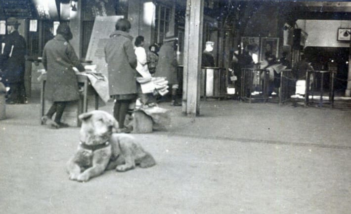 Ein einzigartiges Foto von Hachiko