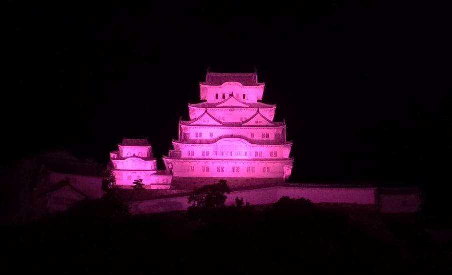 Japan in Pink