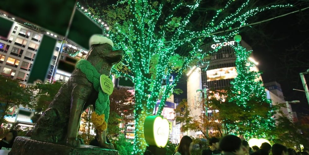 Hachiko in Weihnachtsstimmung