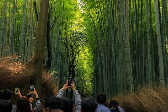 Die Touristensteuer in Japan