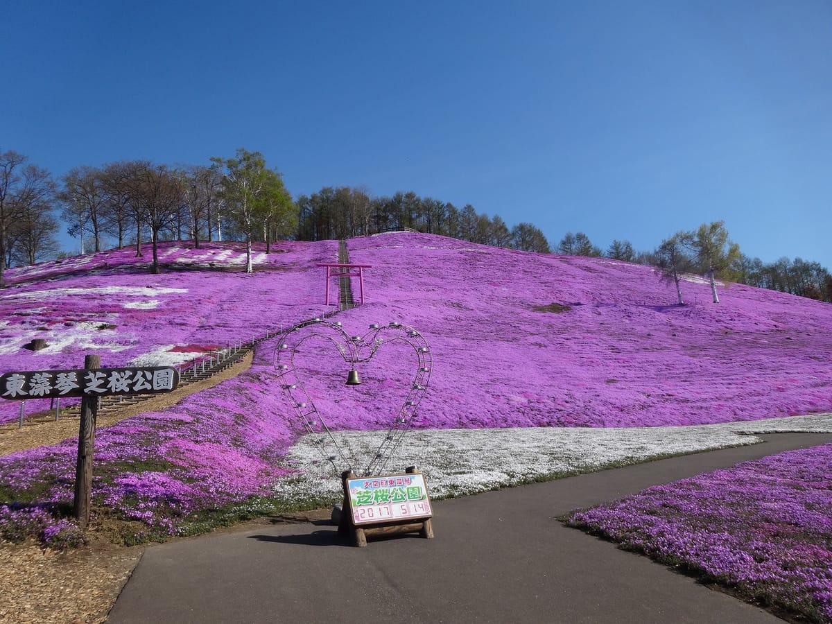 Der Blütenberg von Hokkaido