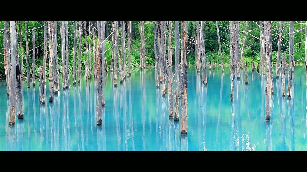 Der Blaue Teich von Biei