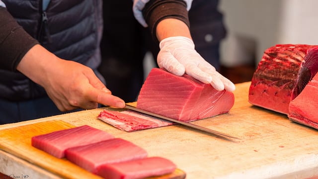 Gezüchteter Thunfisch aus Japan