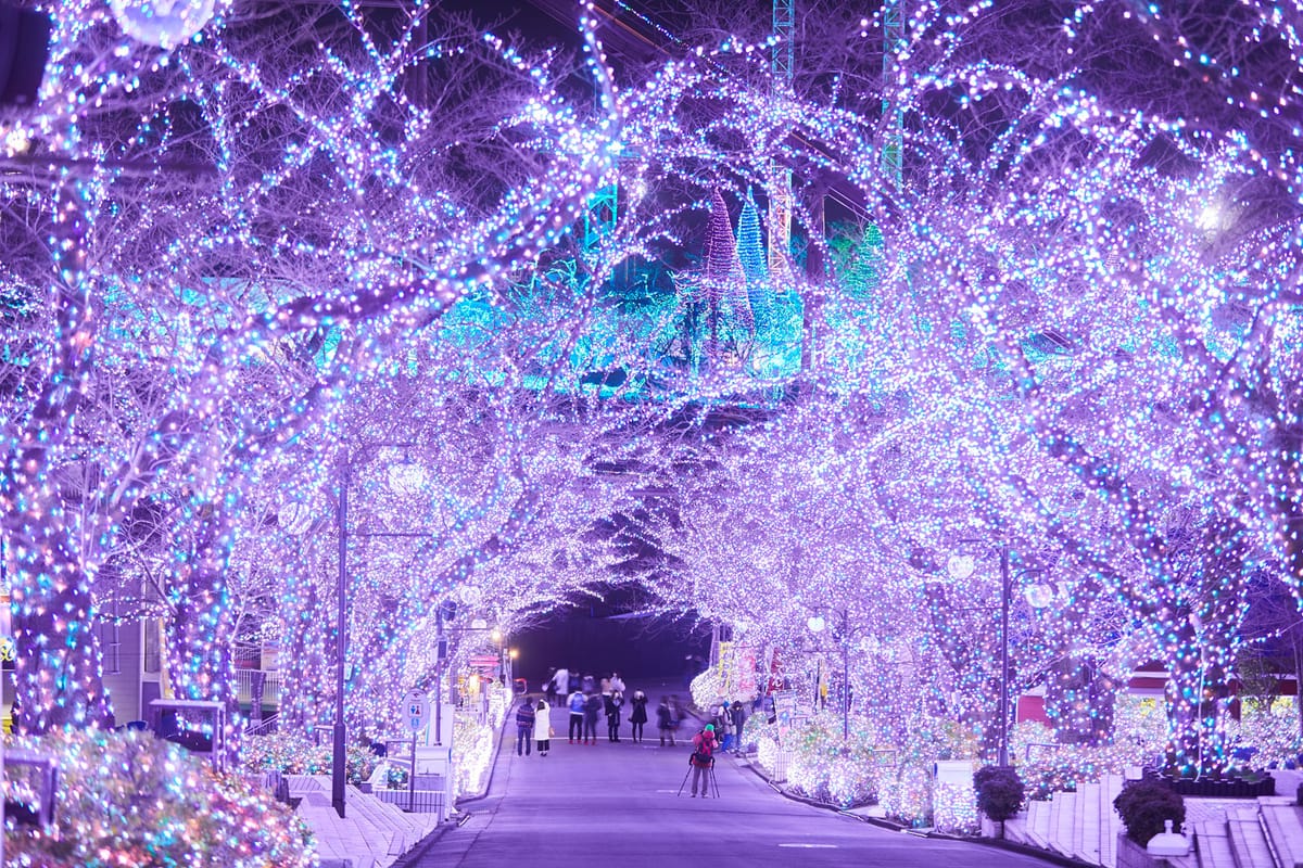 Tokio im winterlichen Lichtzauber