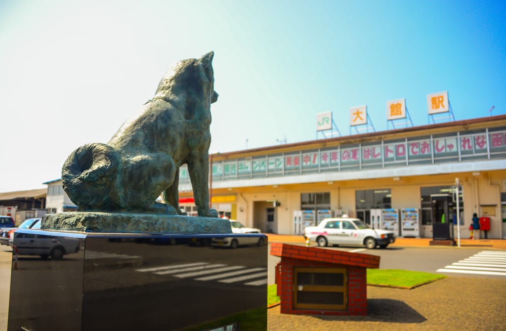 In der Heimatstadt von Hachiko