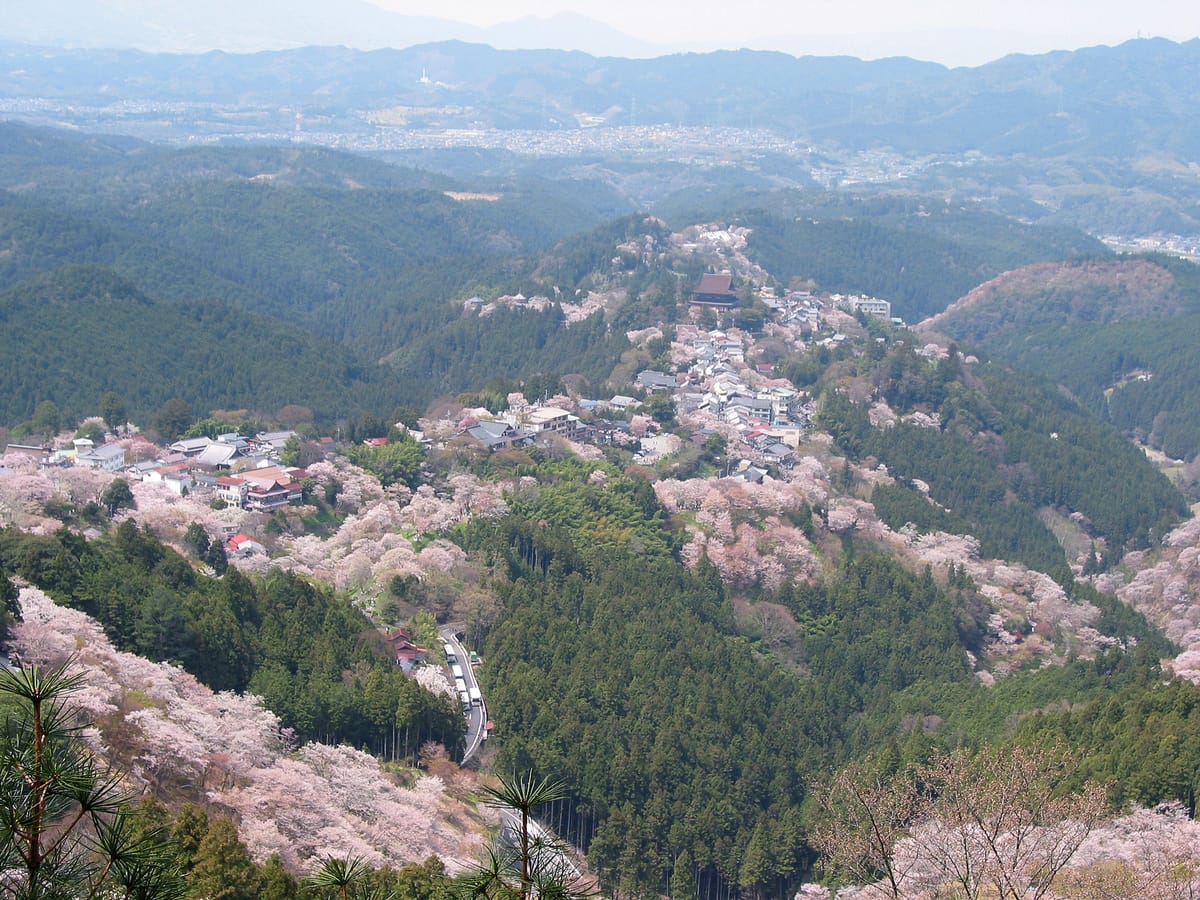 Der Kirschblüten-Berg von Yoshino