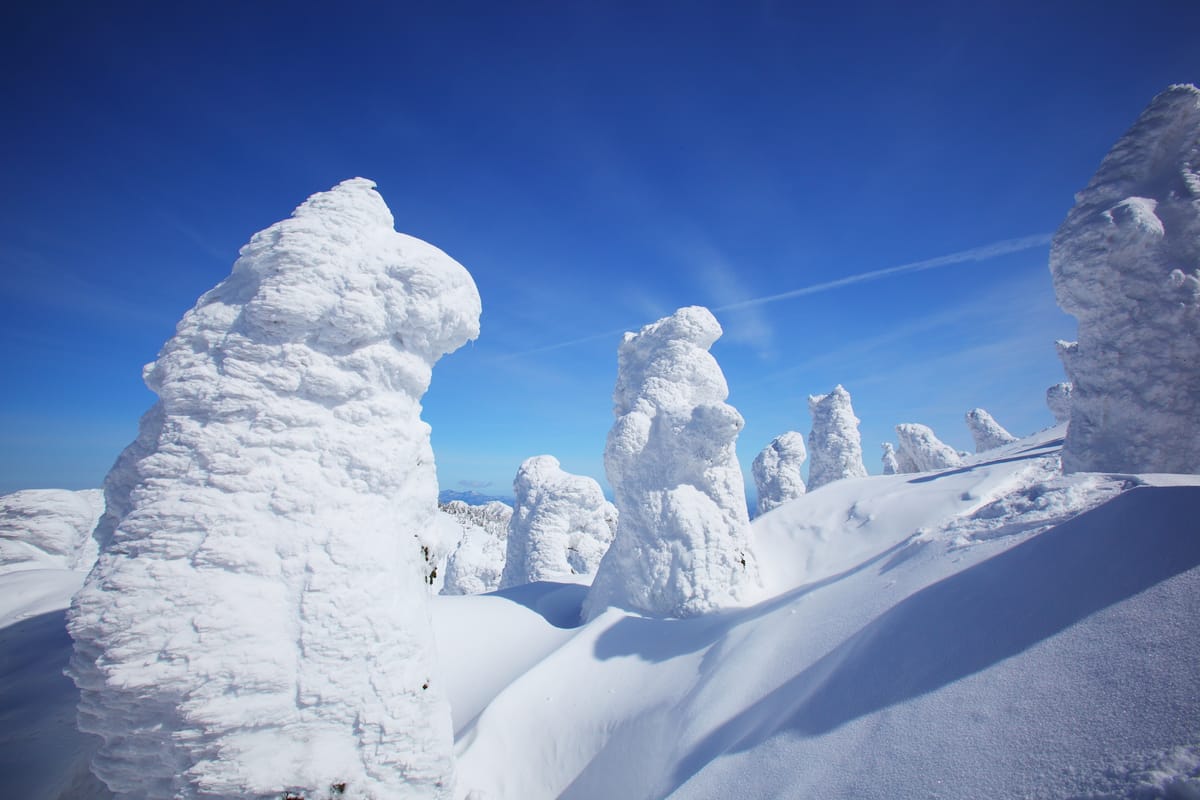 Die «Schnee-Monster» von Zaō-Onsen