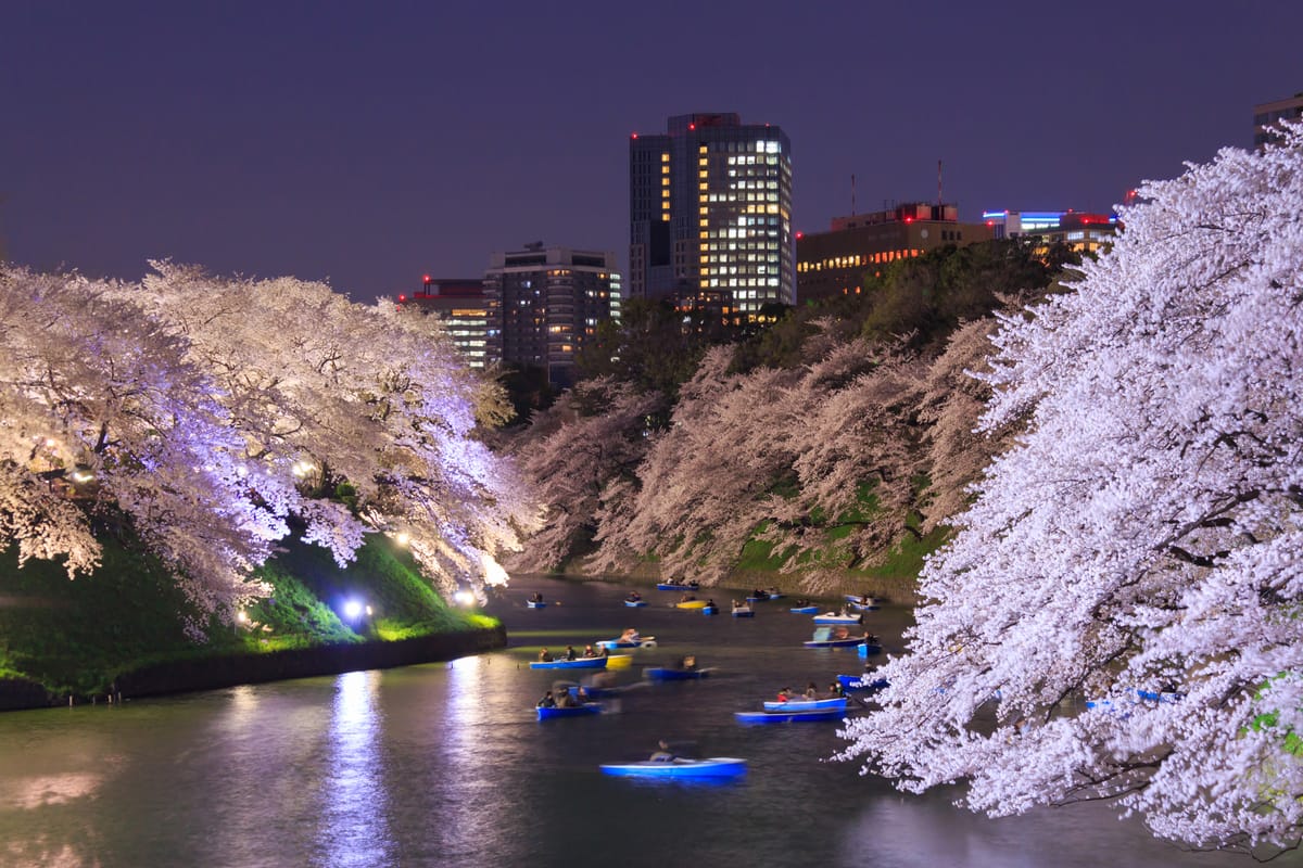 14 schöne Kirschblüten-Spots in Tokio