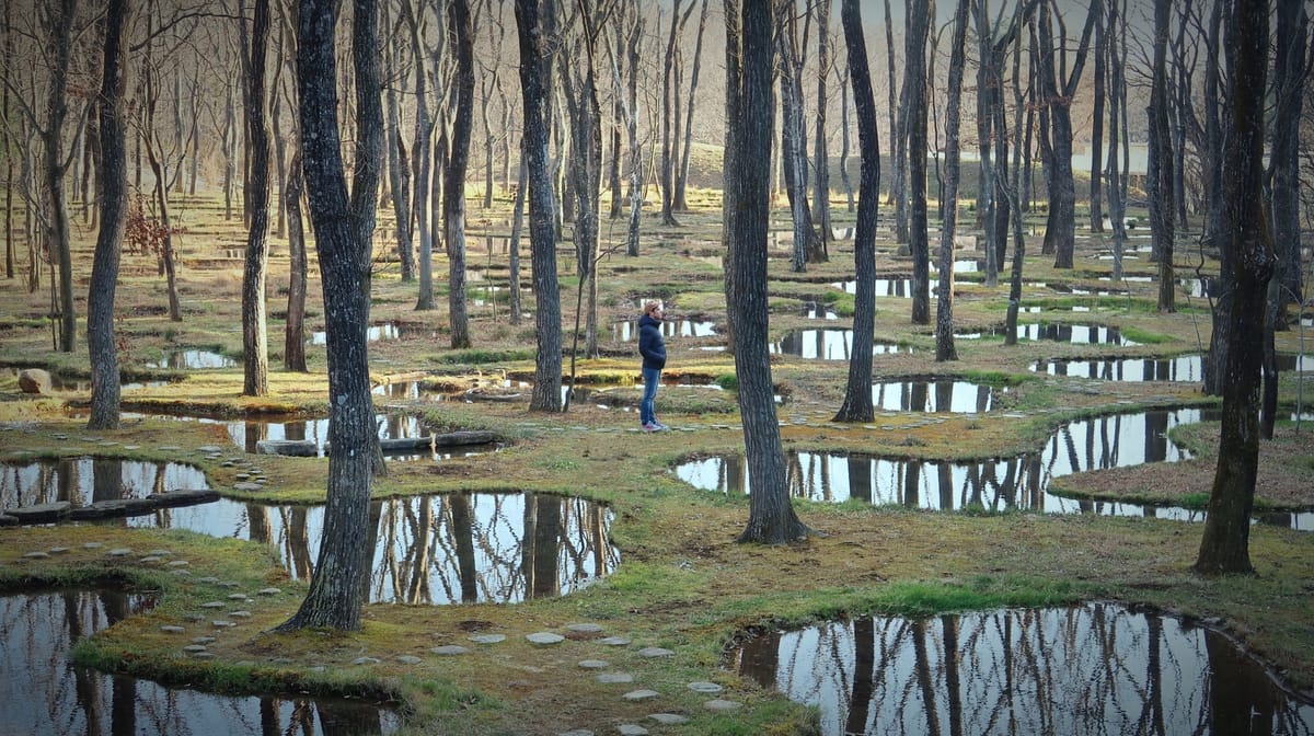 Art Biotop Nasu: Der poetische Wassergarten