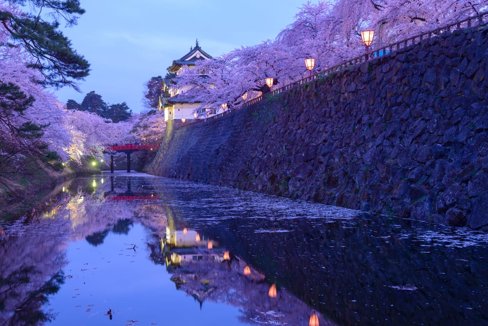 Hirosaki: Die Stadt der späten Kirschblüten