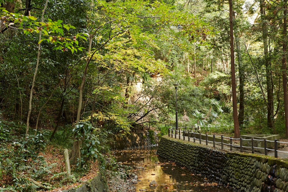 Berge, Flüsse und Wasserfälle: Die ländliche Seite von Tokio