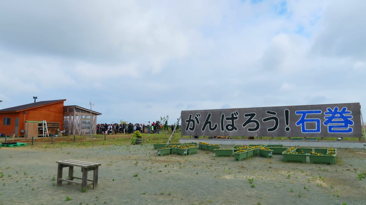 9 Jahre nach dem Tsunami: In der Stadt, die nie aufgibt