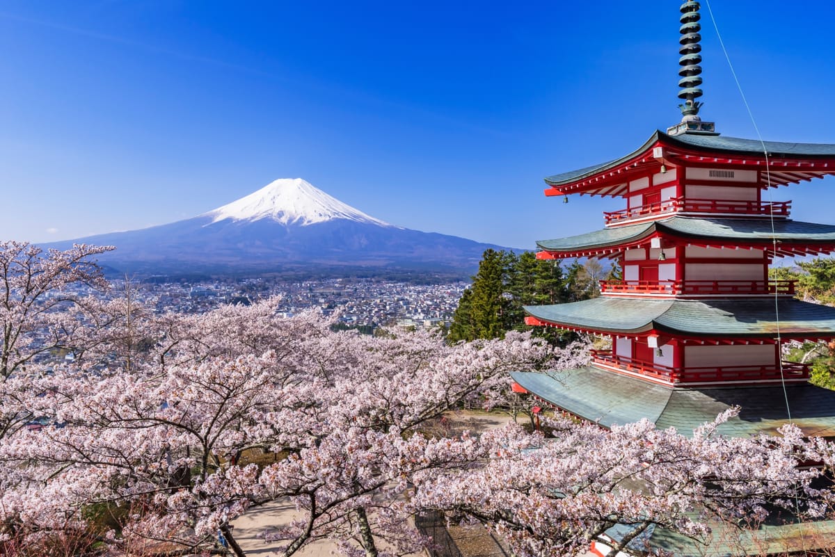 Kirschblütenzeit bei einem Wahrzeichen Japans