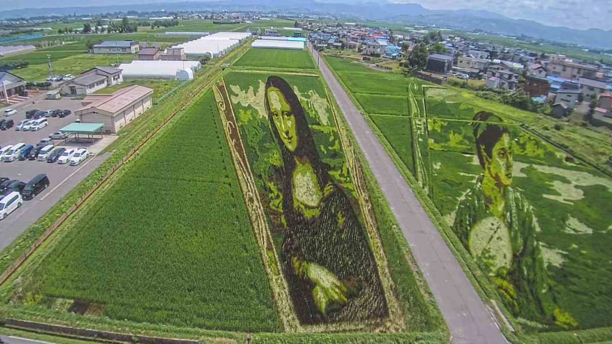 Mona Lisa im Reisfeld