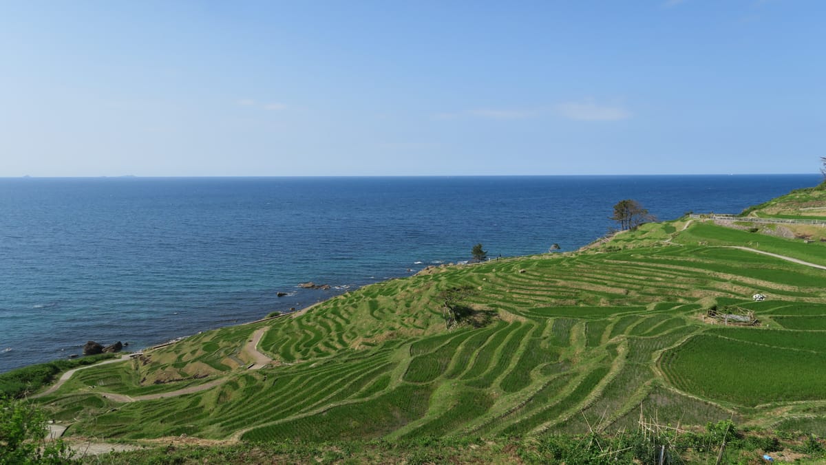 Die Reisterrassen am Meer