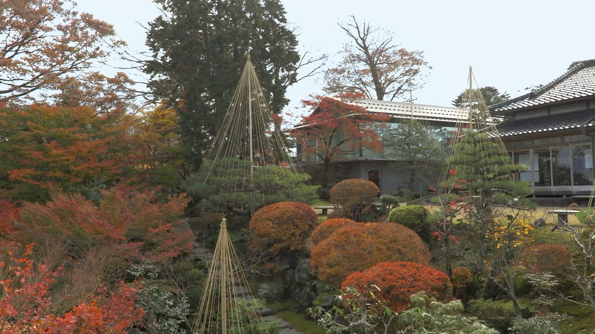 Tsujike Teien: Ein Geheimtipp in Kanazawa