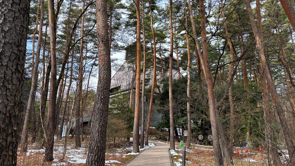 Die Whisky-Brennerei im Wald