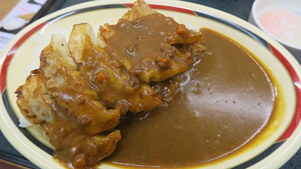 Gyoza mit Curry