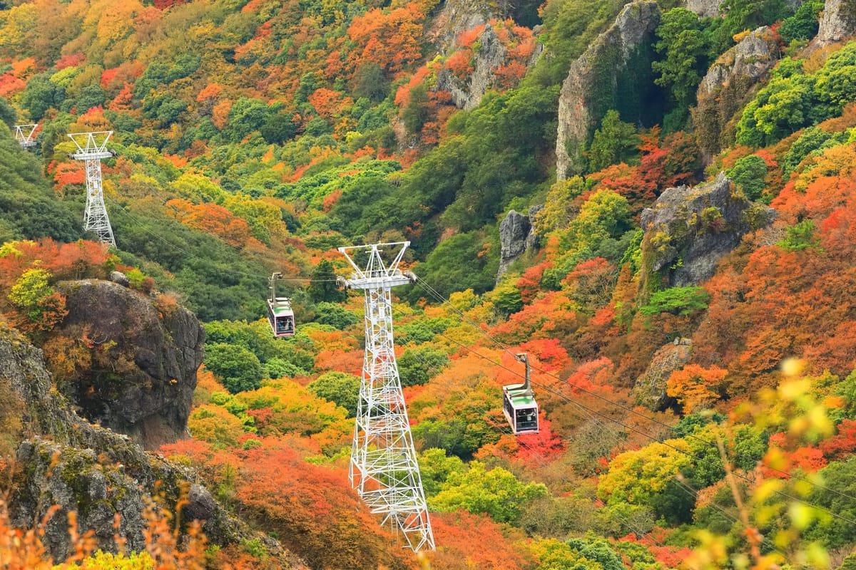 Die Zeit des Herbstlaubs