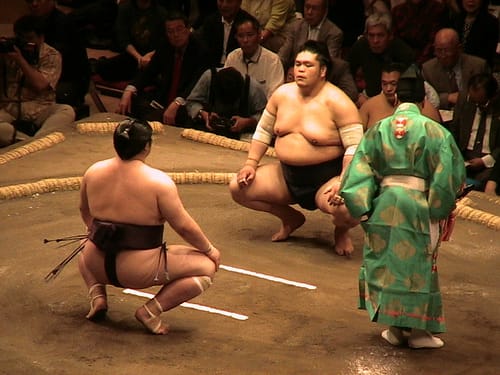 Ein Sport mit viel Berührung: Die Schweinegrippe geht im Sumo-Sport um.