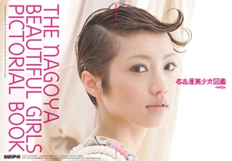 Die Vorzüge aus Japans Regionen: Eine «Bishojo Zukan»-Ausgabe aus Nagoya.