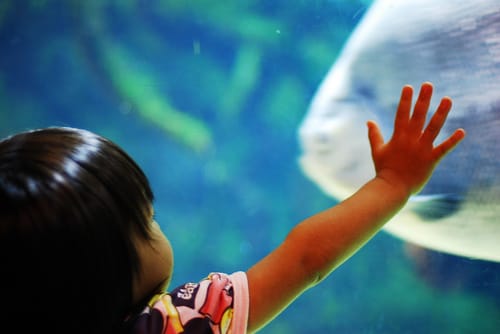 Japan hat den geringsten Kinderanteil der Welt.