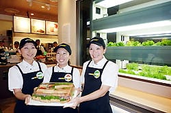 Erntefrisch einmal anders: Bei Subway in Marunouchi gibt es bald Salat aus Hydrokultur.