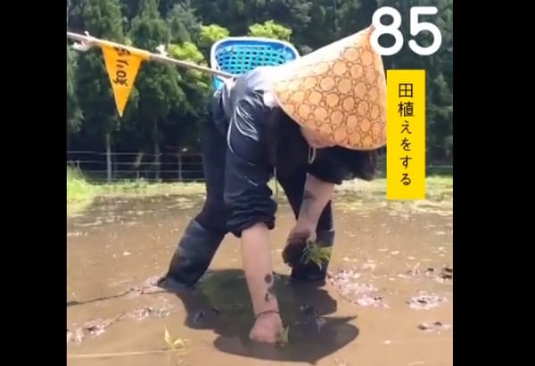 100 Dinge, die man in Japan tun kann