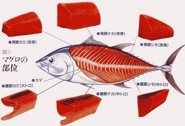Japan detailliert erklärt