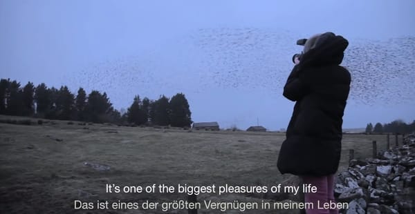 Rinko Kawauchi bei der Arbeit.