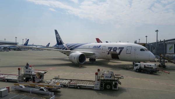 Eine Maschine der japanischen Airline ANA.