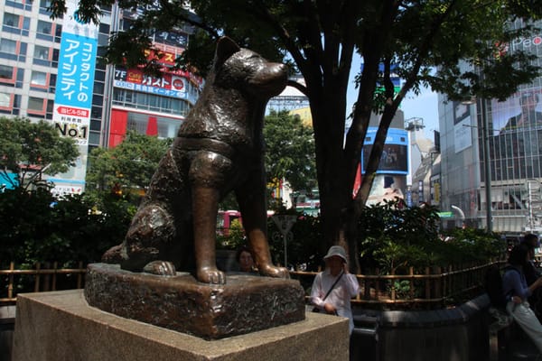 Hachiko in Shibuya.