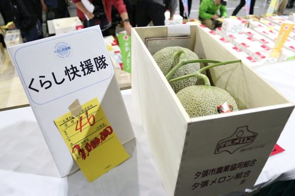 Japans teuerste Melonen