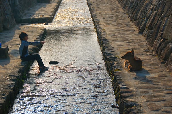 Ein Kind in Miyajima.