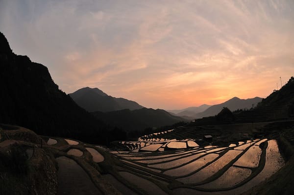 Ein abendlicher Blick auf die Reisfeld-Terrassen von Maruyama.