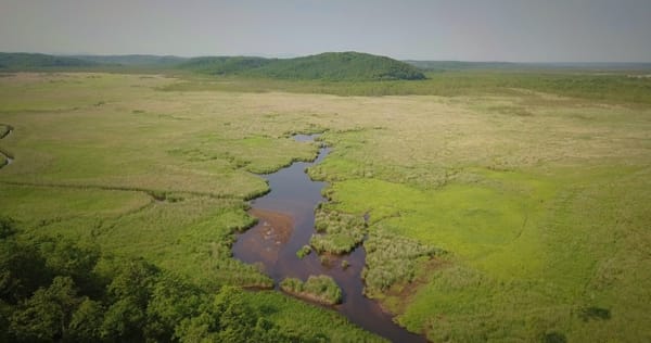 Das Sumpfgebiet von Kushiro in Hokkaido.