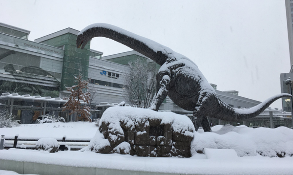 Japan versinkt im Schnee