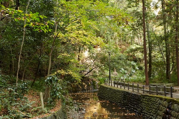 Das Todoroki-Valley mitten in Tokio.