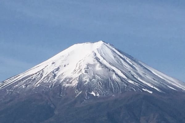 Der grosse Vogel am Fuji