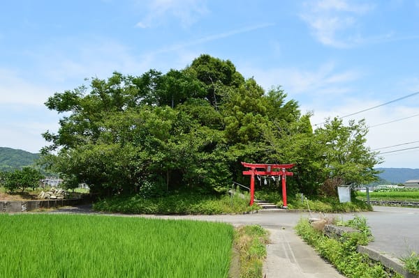 Der Bentenyama in der Stadt Tokushima.