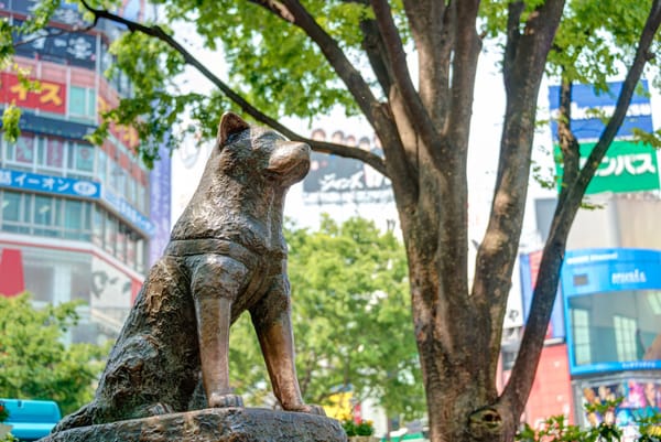 Die heutige Hachiko-Statue vor dem Bahnhof Shibuya.