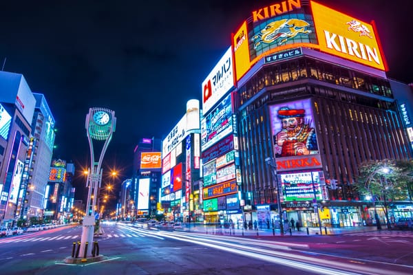 Sapporo in der Nacht.