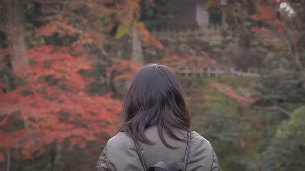 Eine der schönsten Jahreszeiten: Herbst in Japan.