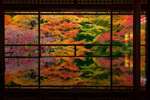 Der Tempel Rurikoin in Kyoto.