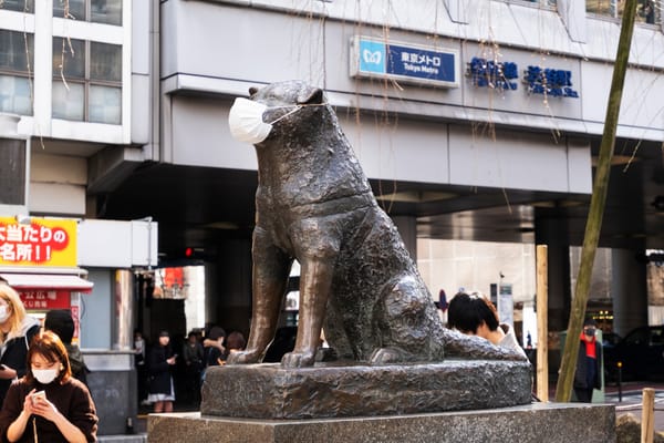 Auch für Hachiko gibt es eine Maske.