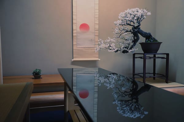 Die Natur im Miniatur-Format: Bonsai in Tokio