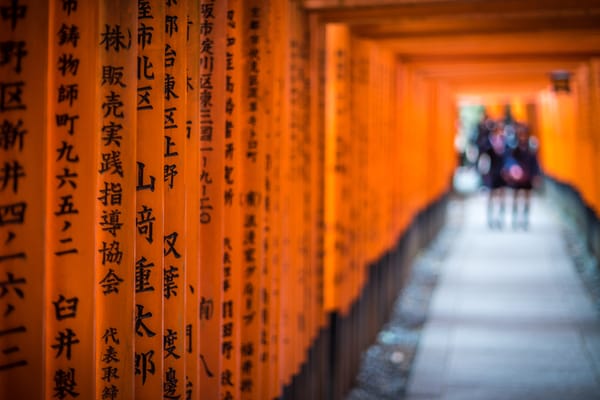 Eine Übungsort für das Lesen japanischer Namen: Auf den Torii im Fushimi-Inari-Schrein stehen jeweils die Namen der Sponsore…